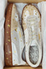 PUMA × MASU  PALERMO BLESS - ALPINE SNOW / 405928-MASU Official Online Store